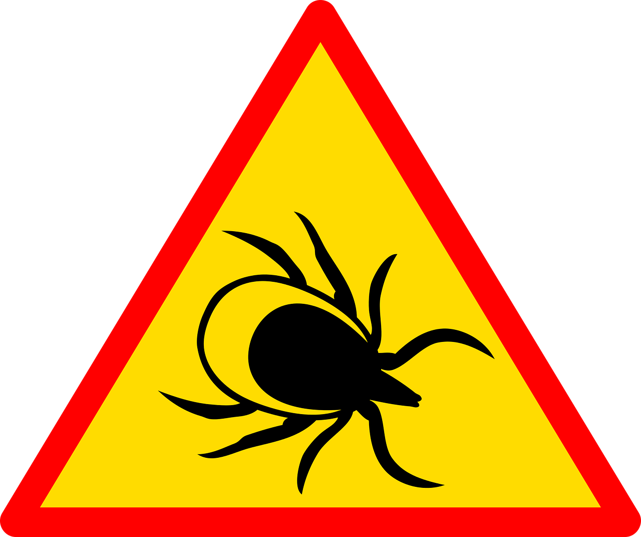 The Psychological Aspects of Lyme and Tickborne Diseases