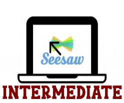 Intermediate Seesaw: Taking Seesaw to the Next Level